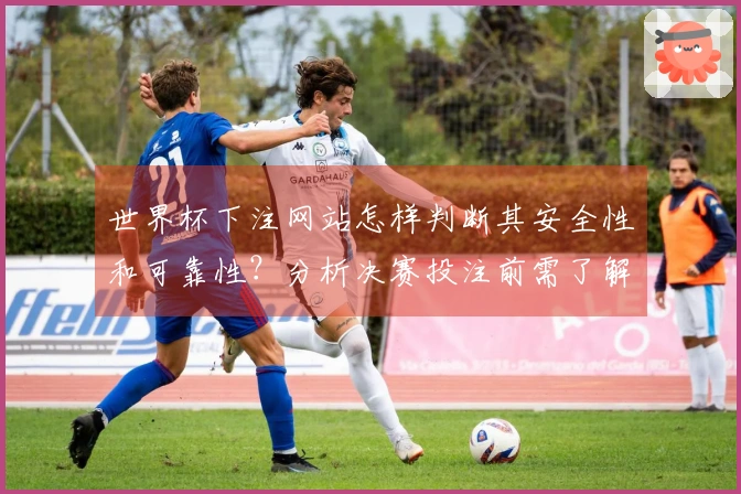 世界杯下注网站怎样判断其安全性和可靠性？分析决赛投注前需了解的规则与注意事项