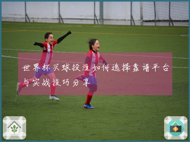 世界杯买球投注如何选择靠谱平台与实战技巧分享