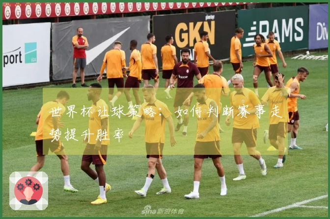 世界杯让球策略：如何判断赛事走势提升胜率