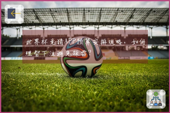 世界杯竞猜APP预算安排攻略,如何理智下注避免踩雷?
