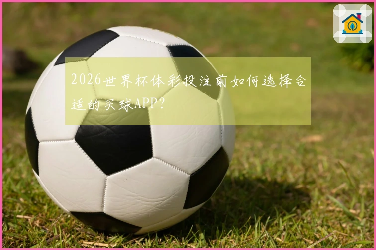 2026世界杯体彩投注前如何选择合适的买球APP？