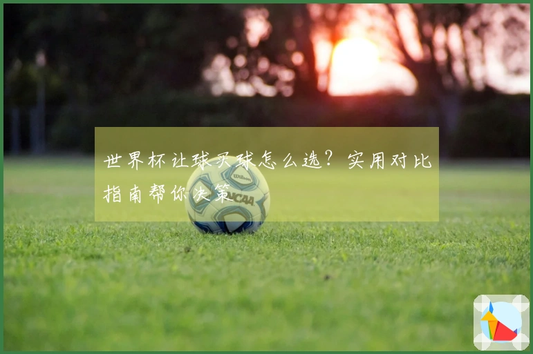 世界杯让球买球怎么选？实用对比指南帮你决策