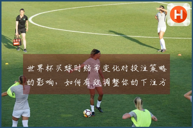 世界杯买球时赔率变化对投注策略的影响，如何有效调整你的下注方案