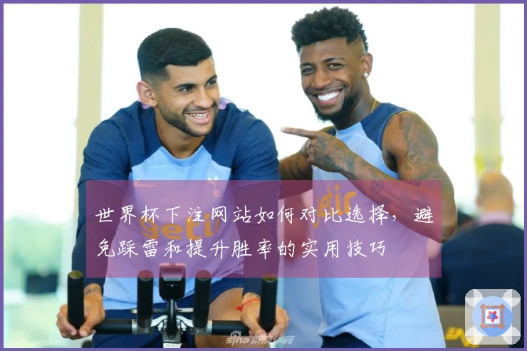 世界杯下注网站如何对比选择，避免踩雷和提升胜率的实用技巧