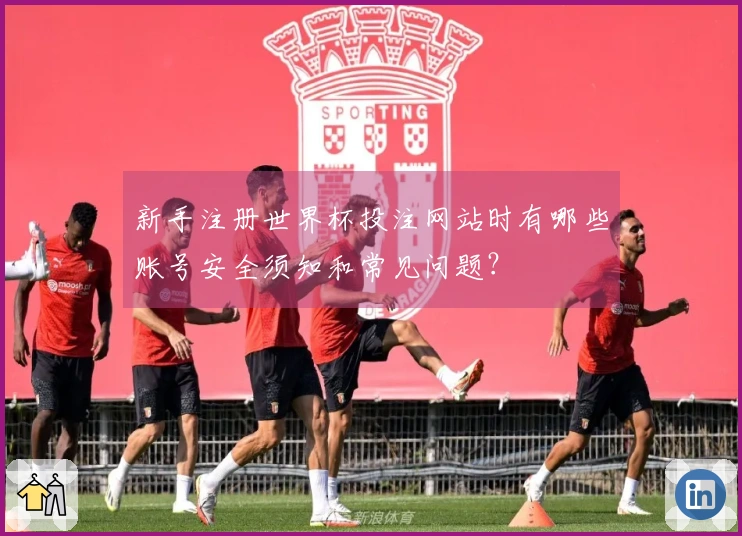 新手注册世界杯投注网站时有哪些账号安全须知和常见问题？