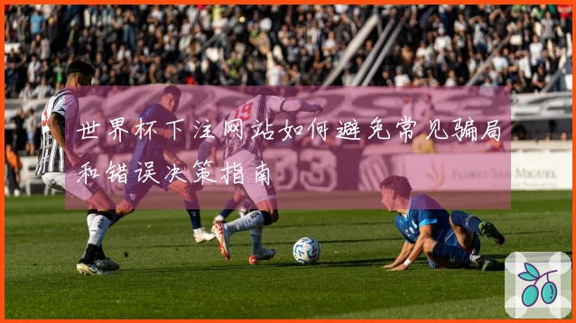 世界杯下注网站如何避免常见骗局和错误决策指南