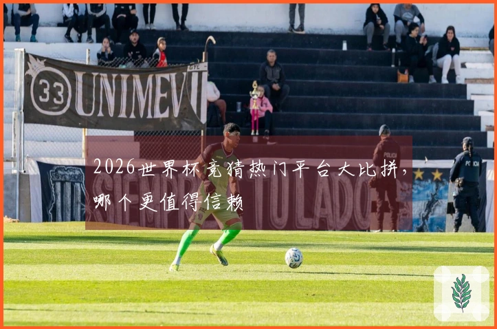 2026世界杯竞猜热门平台大比拼，哪个更值得信赖