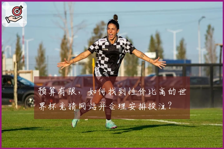 预算有限，如何找到性价比高的世界杯竞猜网站并合理安排投注？