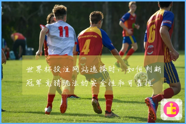 世界杯投注网站选择时,如何判断冠军竞猜玩法的安全性和可靠性
