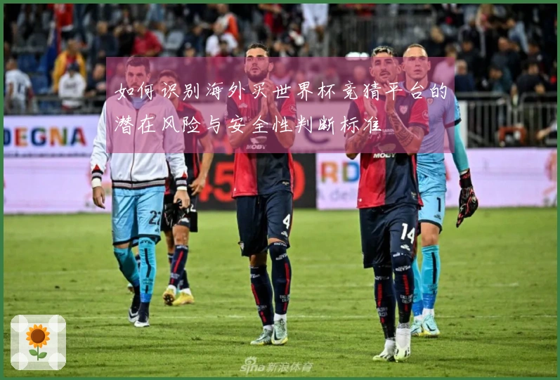 如何识别海外买世界杯竞猜平台的潜在风险与安全性判断标准