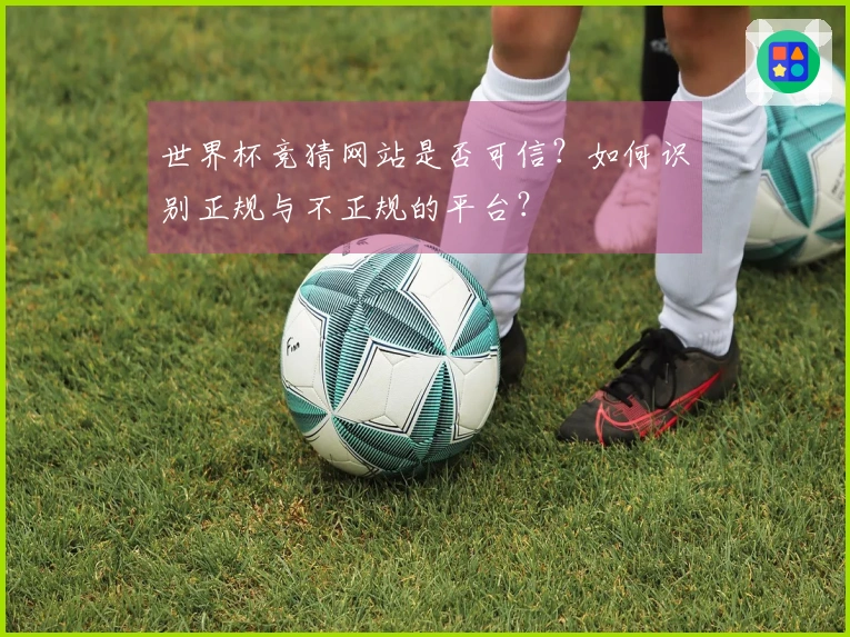 世界杯竞猜网站是否可信?如何识别正规与不正规的平台?