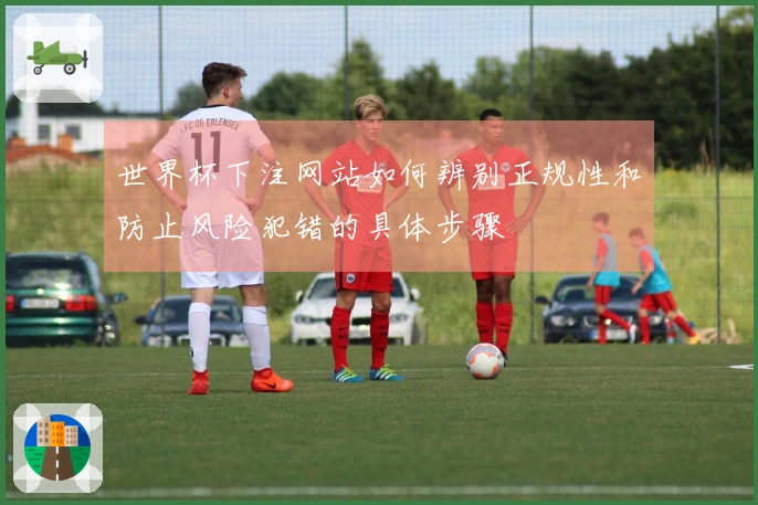 世界杯下注网站如何辨别正规性和防止风险犯错的具体步骤