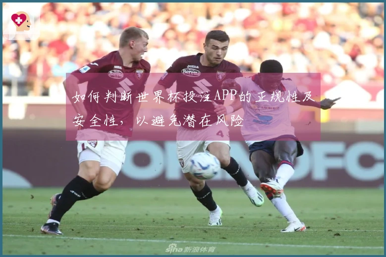 如何判断世界杯投注APP的正规性及安全性，以避免潜在风险