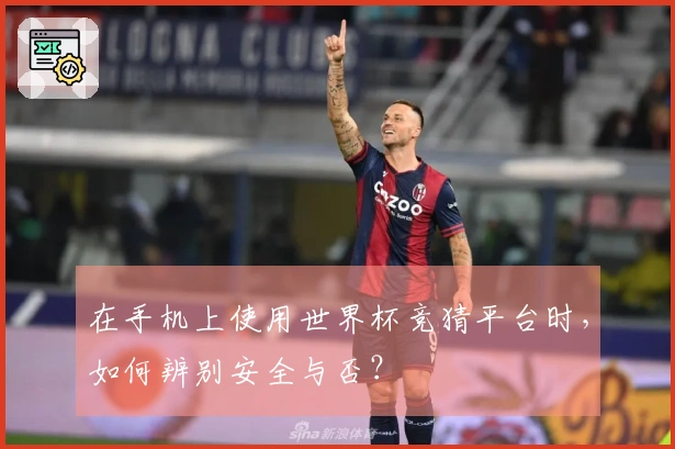在手机上使用世界杯竞猜平台时，如何辨别安全与否？