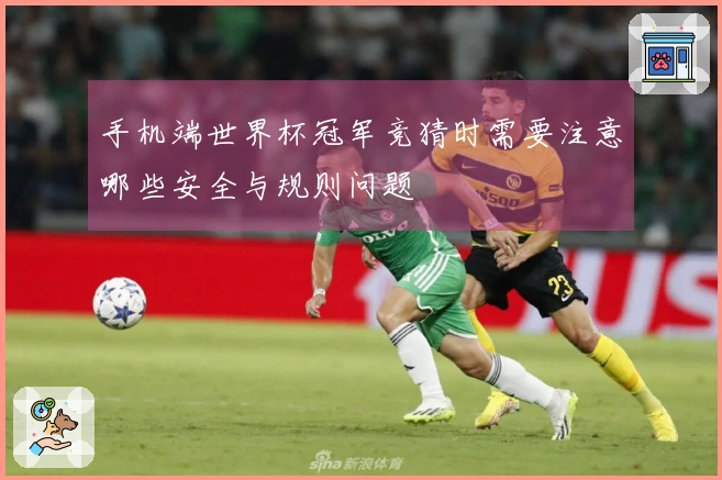 手机端世界杯冠军竞猜时需要注意哪些安全与规则问题