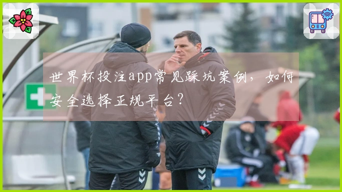 世界杯投注app常见踩坑案例，如何安全选择正规平台？