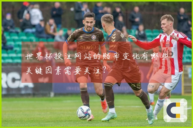 世界杯投注网站的赔率变化有哪些关键因素需要关注？