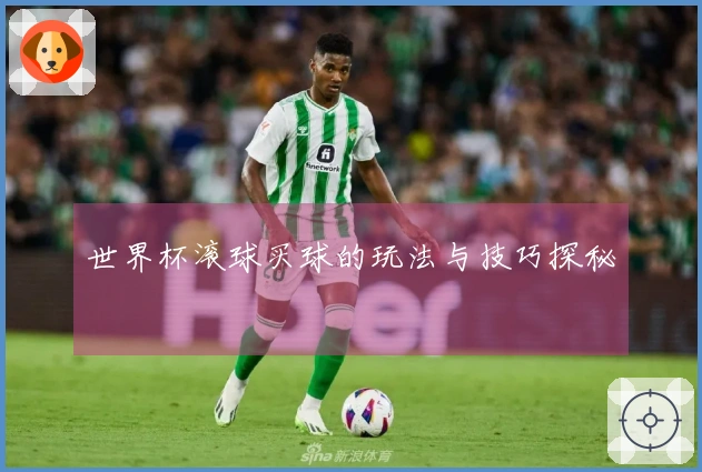 世界杯滚球买球的玩法与技巧探秘