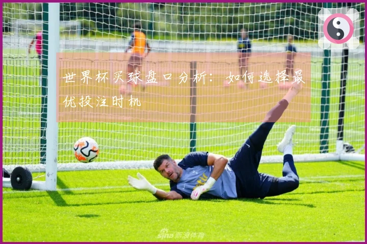 世界杯买球盘口分析：如何选择最优投注时机