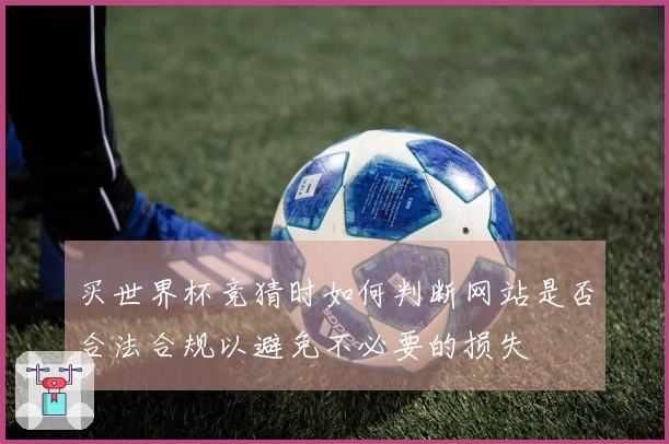 买世界杯竞猜时如何判断网站是否合法合规以避免不必要的损失