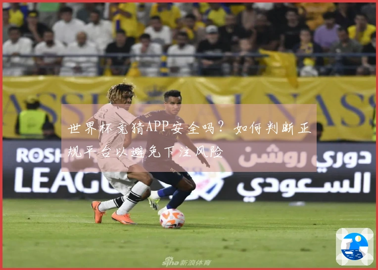 世界杯竞猜APP安全吗？如何判断正规平台以避免下注风险
