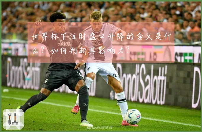 世界杯下注时盘口升降的含义是什么？如何判断其影响力？