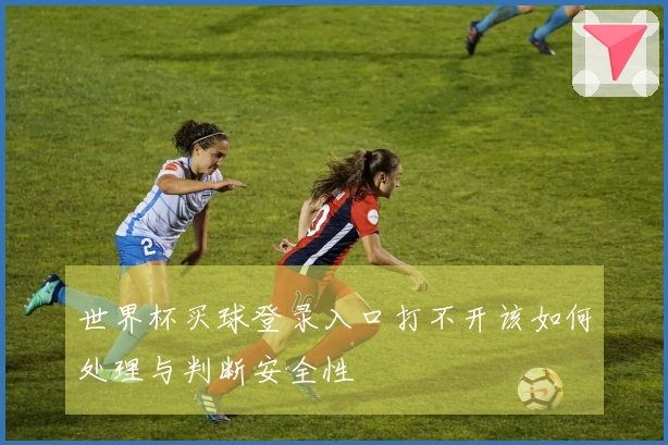世界杯买球登录入口打不开该如何处理与判断安全性