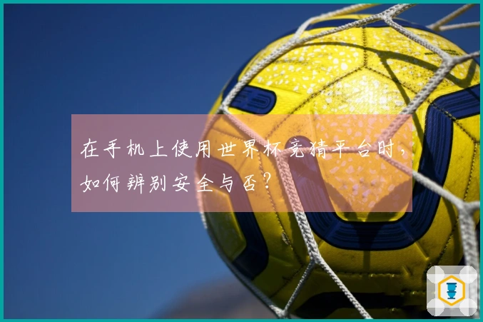 在手机上使用世界杯竞猜平台时，如何辨别安全与否？