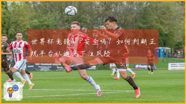 世界杯竞猜APP安全吗？如何判断正规平台以避免下注风险