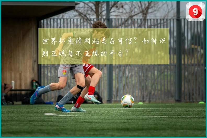 世界杯竞猜网站是否可信？如何识别正规与不正规的平台？