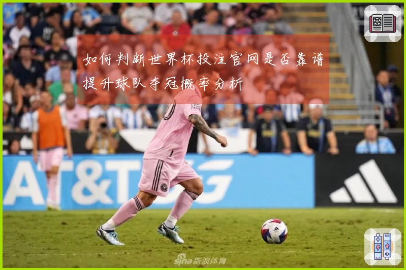 如何判断世界杯投注官网是否靠谱提升球队夺冠概率分析