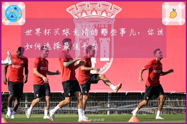 世界杯买球竞猜的那些事儿，你该如何选择最佳平台