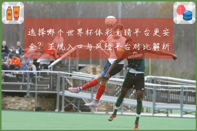 选择哪个世界杯体彩竞猜平台更安全？正规入口与风险平台对比解析