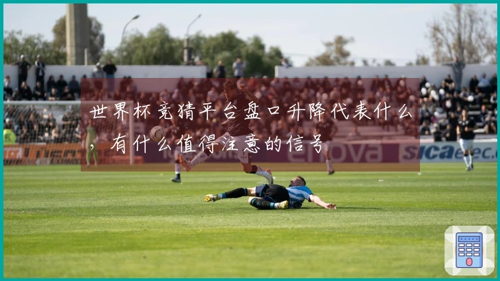 世界杯竞猜平台盘口升降代表什么，有什么值得注意的信号