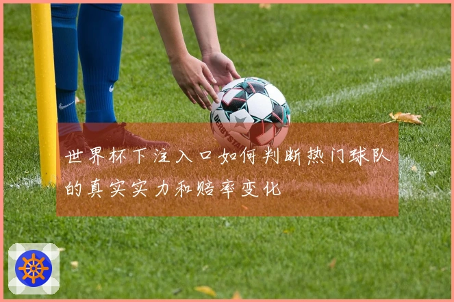 世界杯下注入口如何判断热门球队的真实实力和赔率变化