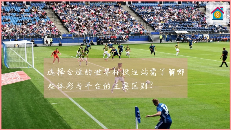 选择合适的世界杯投注站需了解哪些体彩与平台的主要区别？