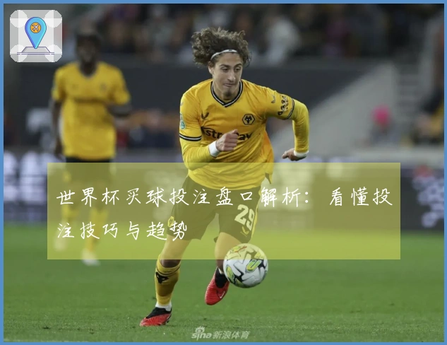 世界杯买球投注盘口解析：看懂投注技巧与趋势